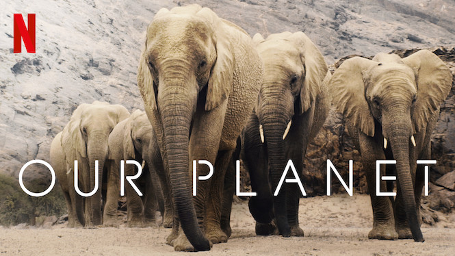 Read more about the article Our Planet