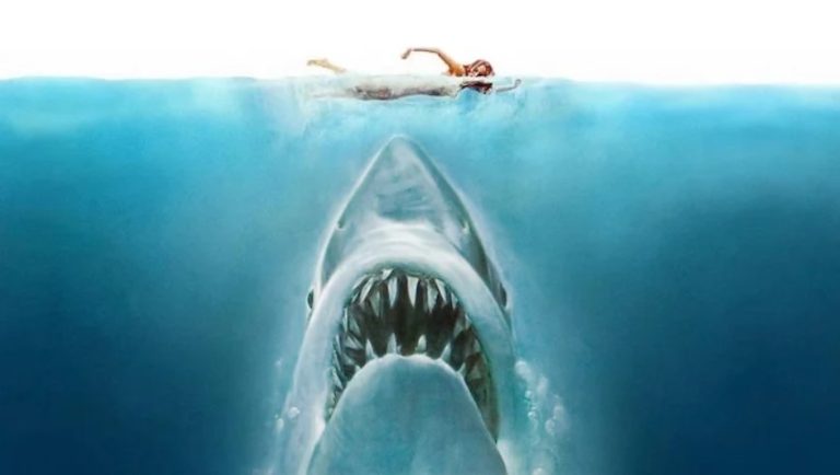 Read more about the article Jaws